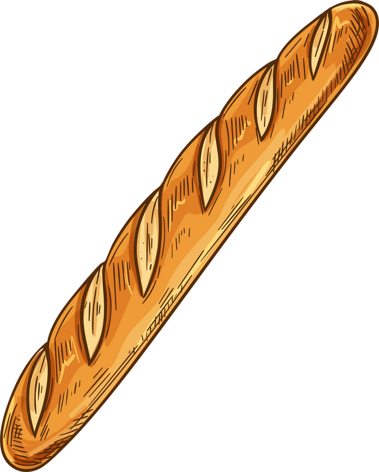 White bread, sketch baguette bagel